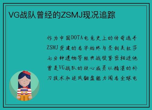 VG战队曾经的ZSMJ现况追踪