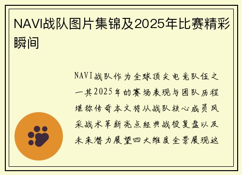 NAVI战队图片集锦及2025年比赛精彩瞬间