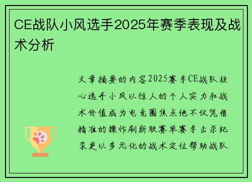 CE战队小风选手2025年赛季表现及战术分析